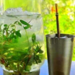 Con el calor extremo, el tereré vuelve a ser protagonista: historia, tradición y cómo prepararlo perfecto