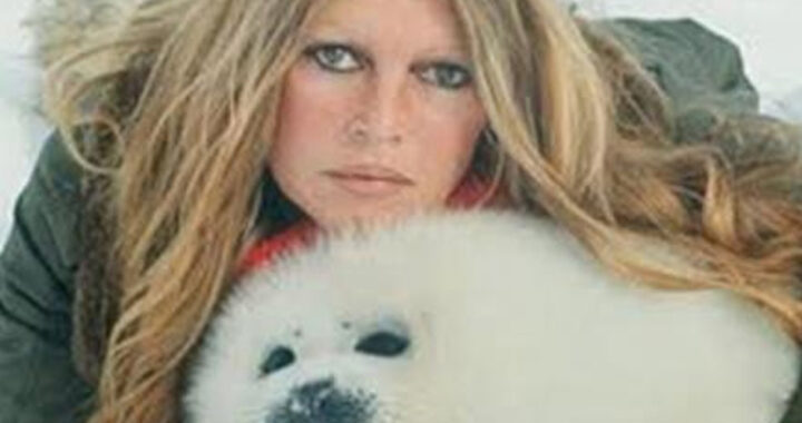 Murió Brigitte Bardot a los 91 años, ícono del cine francés y defensora de la fauna