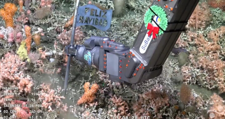 Navidad bajo el mar: científicos del Conicet celebraron Nochebuena mientras exploraban el Atlántico Sur