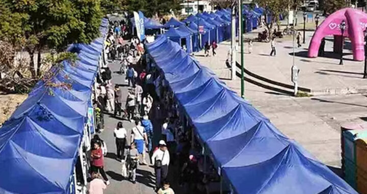 Este sábado se realiza una nueva edición de la Feria Tope de Salta en barrio Castañares