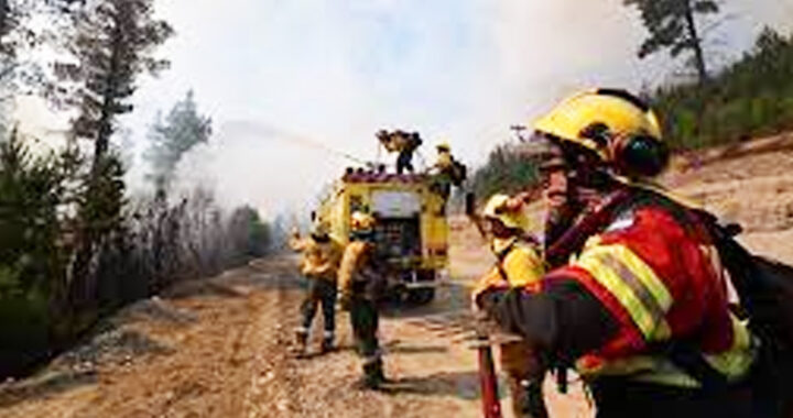 Lluvias y despliegue masivo frenan el avance del fuego en Chubut