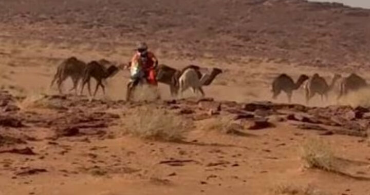Un susto en el Dakar: Benavides mostró temple, esquivó camellos y sumó puntos importantes