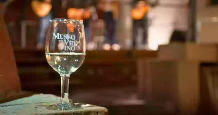 Bodegas, historia y cultura: una experiencia para descubrir los Valles Calchaquíes en el Museo de la Vid y el Vino