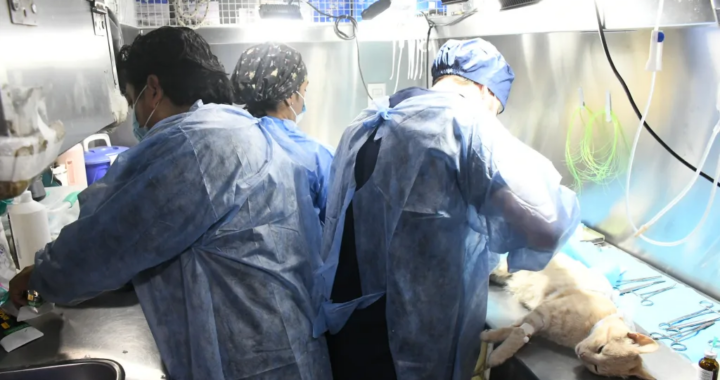 El Móvil de Castración recorrerá cuatro barrios de Salta la próxima semana