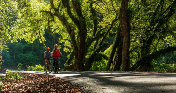Salta ofrece una amplia agenda de actividades para disfrutar el verano