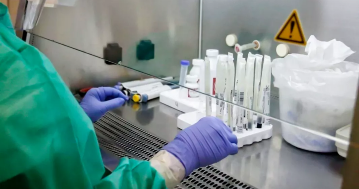 Salud descartó la presencia de la variante K de Influenza A en Salta