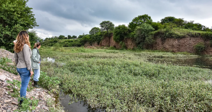 Intensifican controles por avistamiento de yacarés en el Río Arias