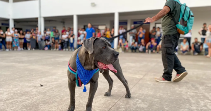 Dictarán un taller práctico para prevenir ataques de perros potencialmente peligrosos