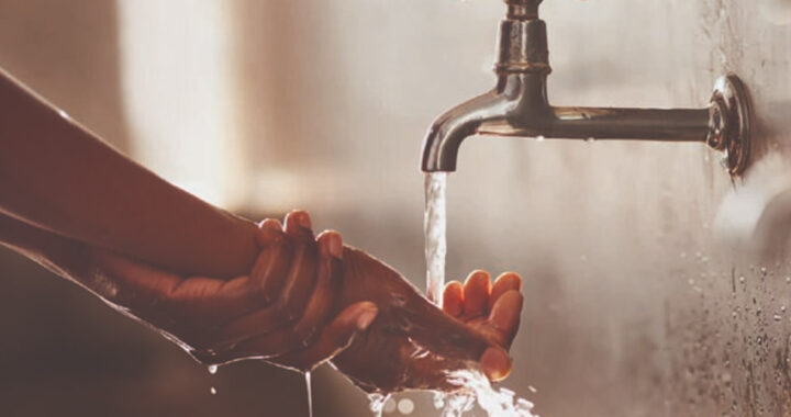 Los casos de salmonelosis disminuyeron un 90% en la provincia de Salta