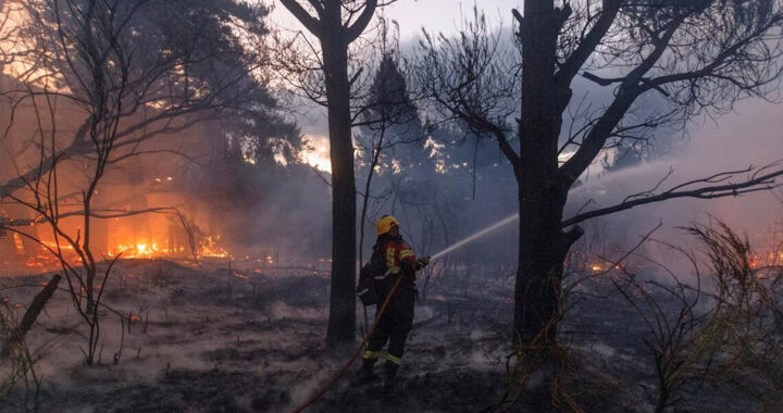 Incendios en el sur: el Gobierno avanzará con un DNU para declarar la Emergencia Ígnea