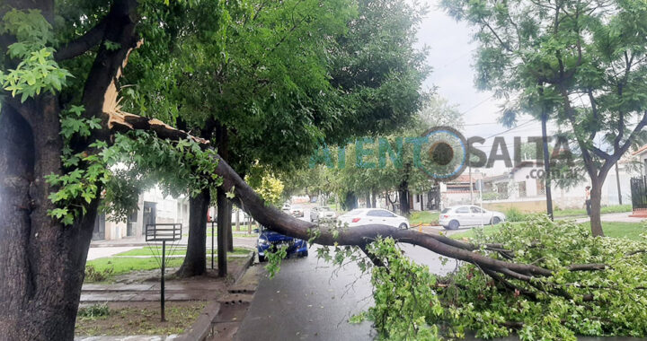 Temporal golpeó a la Ciudad de Salta y dejó múltiples inconvenientes en la vía pública