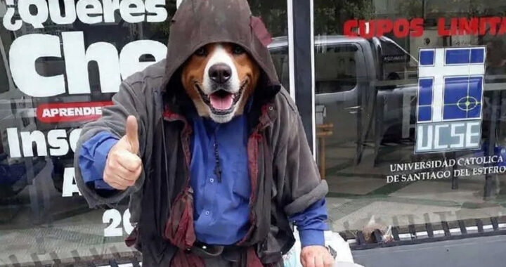 Abdul Onur se suma a la tendencia “therian” para impulsar una campaña solidaria por animales rescatados