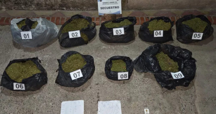 Incautan más de 46 mil dosis de marihuana en Chicoana tras alerta