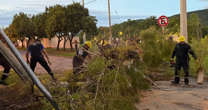 Tras la fuerte lluvia, la Municipalidad de Salta intervino en 54 incidentes en distintos barrios