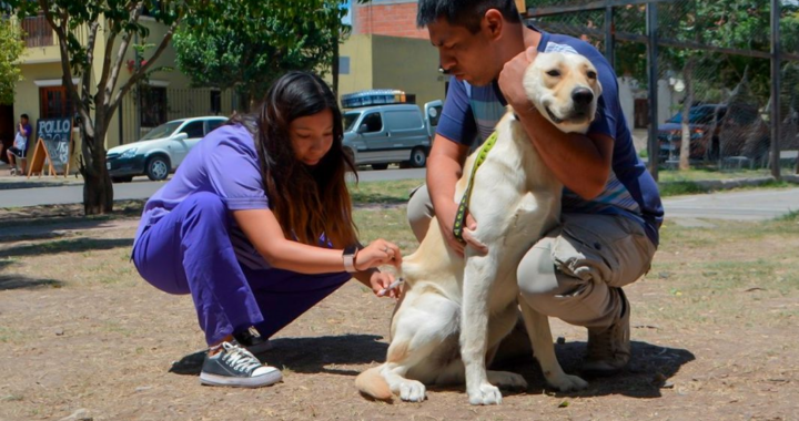 Mega operativo de descacharrado y vacunación antirrábica en barrio Santa Lucía
