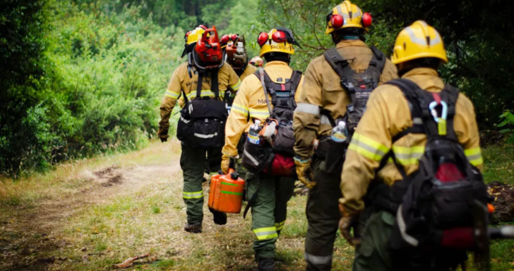 Brigadistas de Salta trabajan en distintos frentes del incendio en Los Alerces