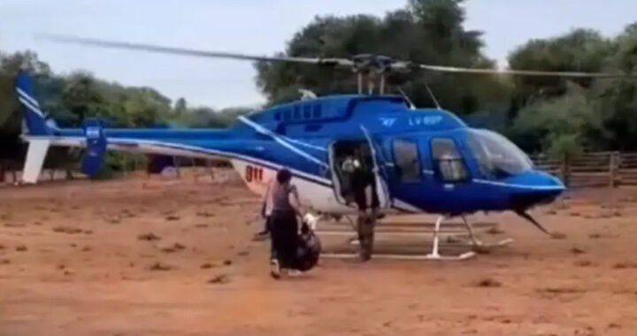 Preocupación en una escuela del norte salteño: una directora fue mordida por un murciélago