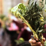 Domingo de Ramos: comienza la Semana Santa con una celebración cargada de fe y simbolismo