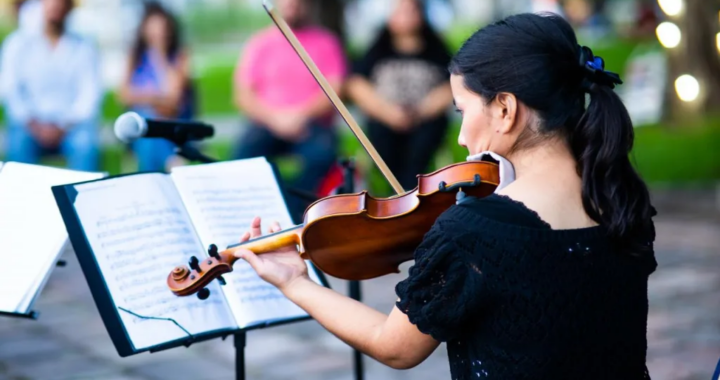 Con gran convocatoria, comenzó el ciclo “Melodías al Paso” en la ex Palúdica