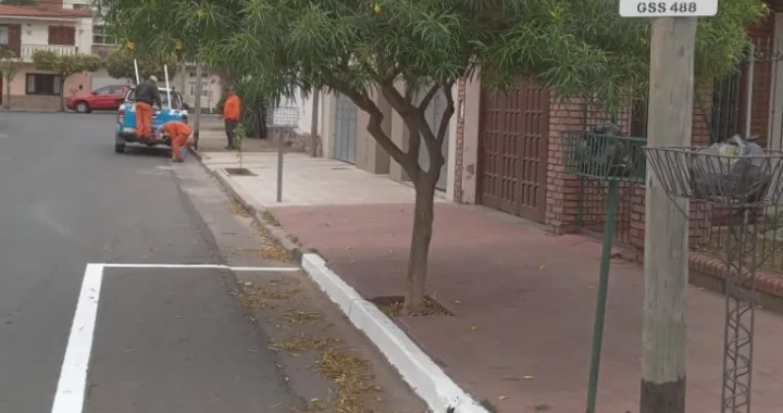 Salta digitaliza la oblea vehicular: el trámite ahora se realiza en 48 horas desde el celular