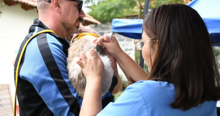 Atención vecinos: campaña de vacunación gratuita para mascotas en Grand Bourg