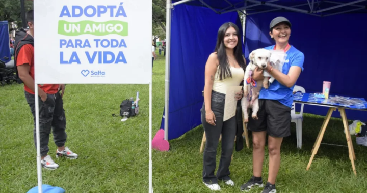 Entre runners y zapatillas, tres perros “ligaron” familia en plena maratón