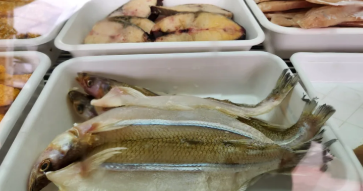 Cuaresma en Salta: crece la venta de pescados y ofrecen promociones en el Mercadito General Belgrano