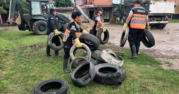 Operativo contra el dengue en barrio Ceferino: retiraron 156 toneladas de residuos