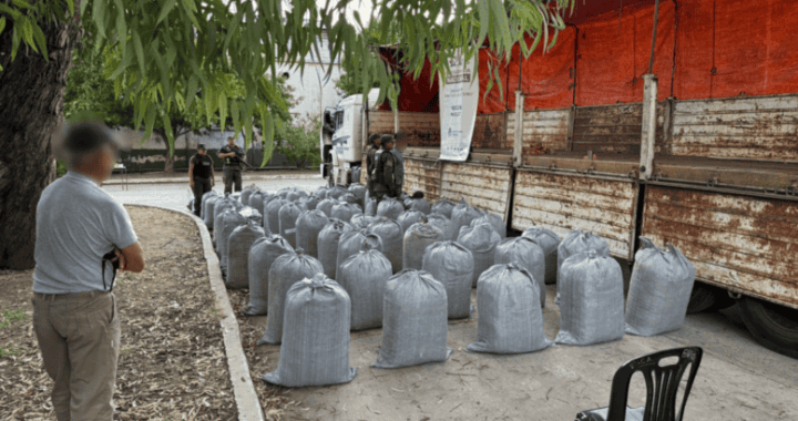 Incautan 1.300 kilos de coca en Santiago del Estero: la carga venía de Salta