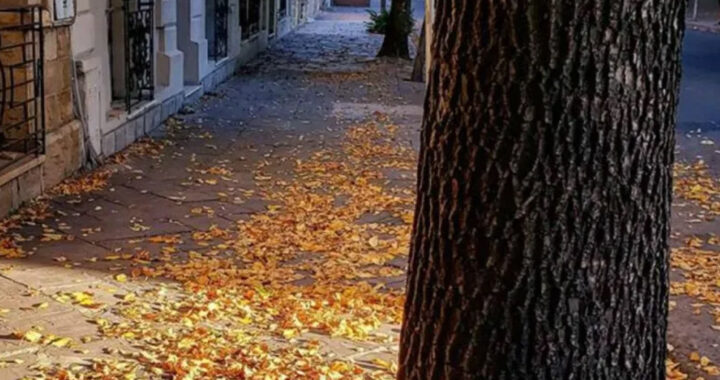 Salta tendrá un fin de semana largo otoñal, cálido y sin precipitaciones