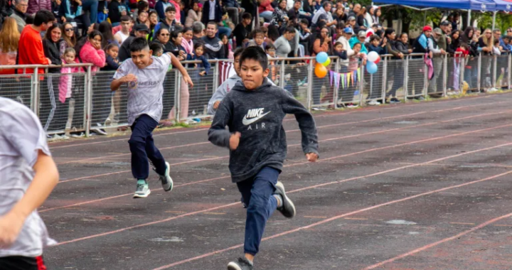 Más de 300 atletas participaron del Torneo Regional NOA Salta 2026 en el Legado Güemes