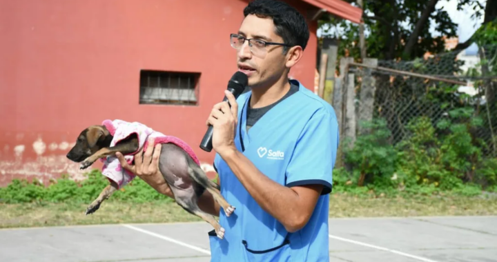 Abril Animal: capacitaron a estudiantes y anuncian jornada gratuita para mascotas en zona norte