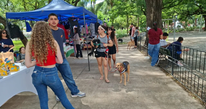 Invitan a una Feria Animalera con adopciones, vacunación y actividades para mascotas en el Campo de la Cruz