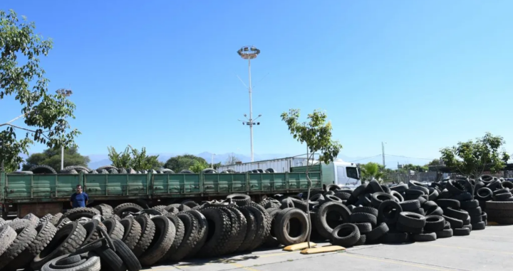 Neumatón en Salta: ya recolectaron más de 1.800 toneladas de cubiertas para prevenir el dengue