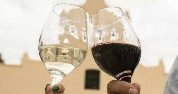 Cachi se viste de fiesta: llega una nueva edición de la Vendimia del Alto Valle Calchaquí
