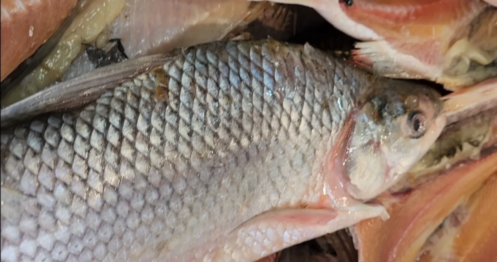 Precios de Semana Santa en Salta: cuánto cuestan pescados, huevos y productos típicos en el mercado San Miguel