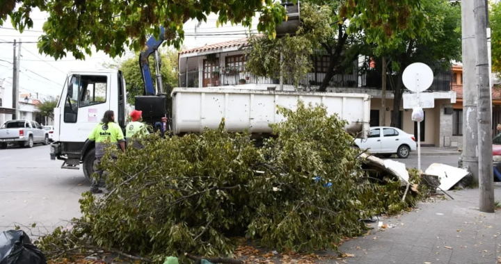 Erradicaron un microbasural en España y Brown que afectaba un espacio para personas con discapacidad