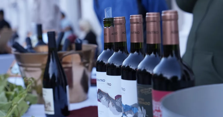 Cachi vivió una Vendimia histórica: ocupación plena y miles de visitantes en los Valles Calchaquíes