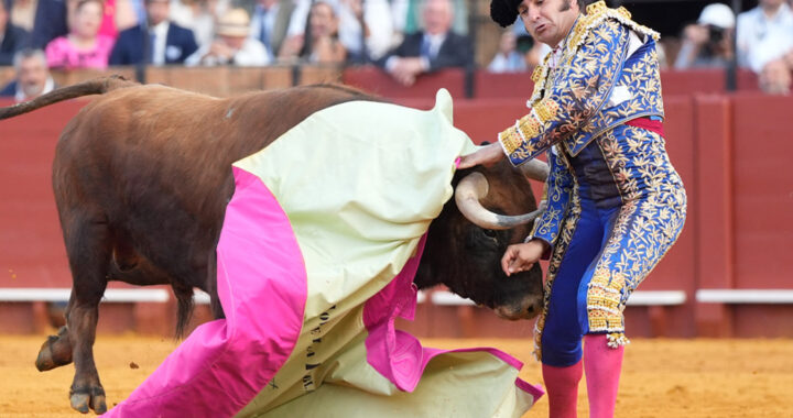 Grave cornada en Sevilla: un reconocido torero fue operado de urgencia tras brutal embestida