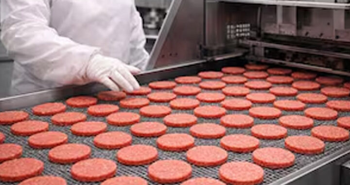Frigorífico ligado a las hamburguesas Paty entró en concurso de acreedores