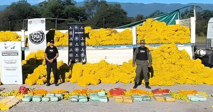 Simulaban transportar limones y llevaban más de 150 kilos de droga
