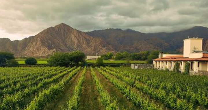 Presentaron en Cafayate un estudio sobre la transformación de la vitivinicultura del NOA