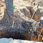 Multaron a Naturgy NOA por daños ambientales durante obras sobre avenida Perón