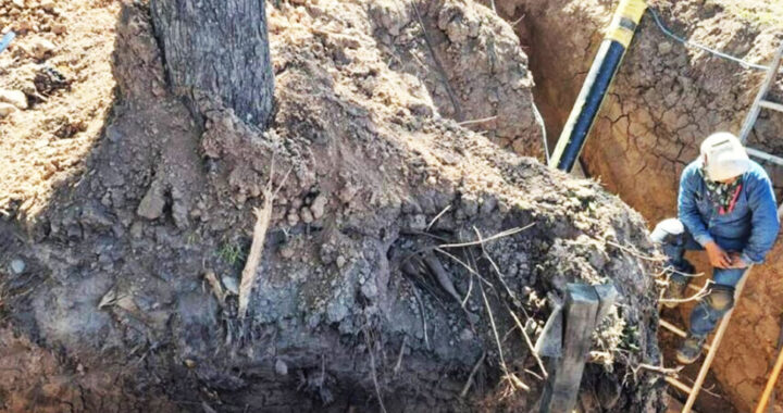 Multaron a Naturgy NOA por daños ambientales durante obras sobre avenida Perón