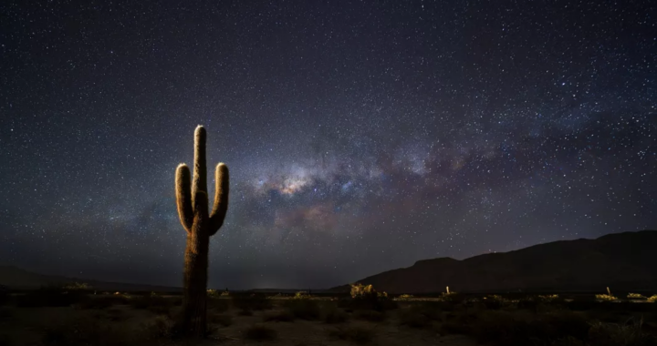 El Parque Nacional Los Cardones invita a disfrutar de una noche de astroturismo en los Valles Calchaquíes