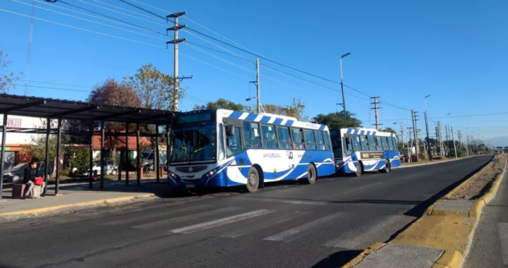 SAETA confirmó cómo funcionarán los colectivos durante los feriados de junio