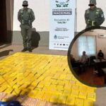 La trama detrás de “Los Peluches”: condenaron a siete integrantes de una organización narco
