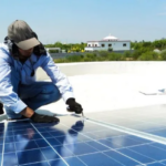 ¡Nuevas oportunidades de trabajo en Salta! Buscan personal de limpieza y técnicos electricistas