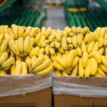 Salta pidió una reunión urgente con Nación por la nueva normativa que preocupa a los productores bananeros