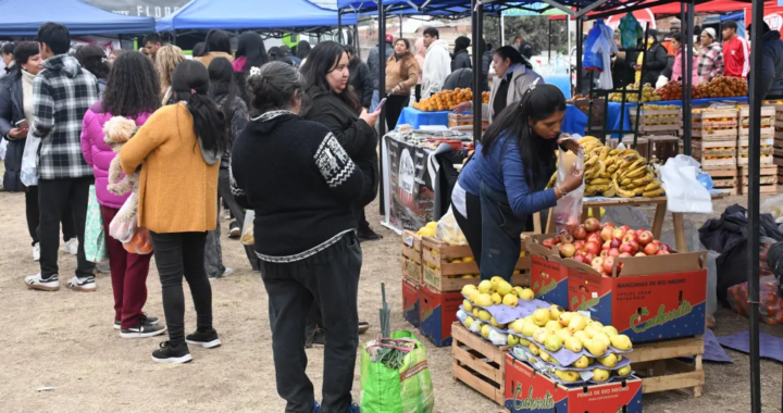 «El Mercado en tu Barrio» llega a La Angostura con ofertas, trámites y atención veterinaria